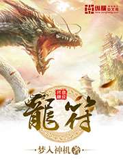 龙符小说封面