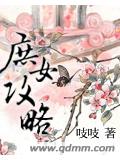庶女攻略小说封面