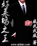 好莱坞之王小说封面