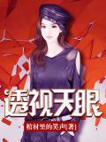 透视天眼小说封面