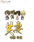 共妻小说封面