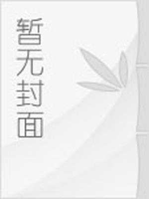 白夜行小说封面