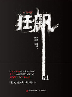 狂飙小说封面