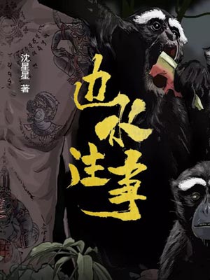 边水往事小说封面