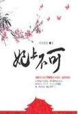 妃上不可小说封面
