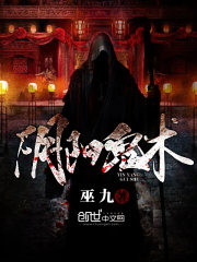 阴阳鬼术小说封面