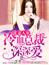 豪门契约妻小说封面