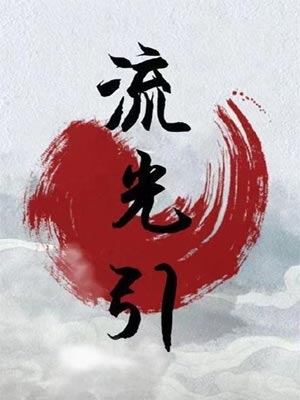 毒宠佣兵王妃（流光引）小说封面