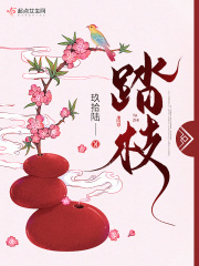 踏枝小说封面