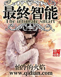 最终智能小说封面