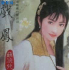 戏凤小说封面