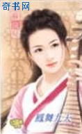凤舞九天小说封面