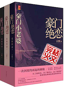 豪门小老婆小说封面