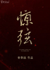惊弦小说封面