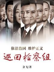巡回检察组小说封面