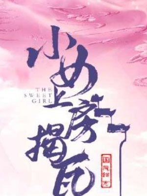 爱妃上房揭瓦（小女上房揭瓦）小说封面