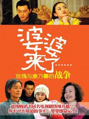 婆婆来了小说封面