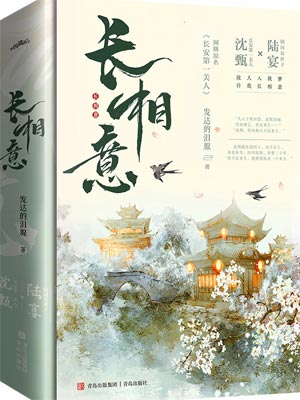 长安第一美人（永安梦）小说封面