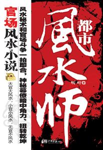 都市风水师小说封面