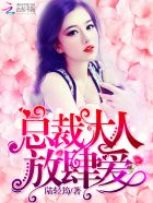 总裁大人，放肆爱！小说封面