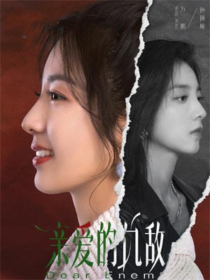 亲爱的仇敌小说封面