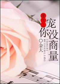 重生之宠你没商量小说封面