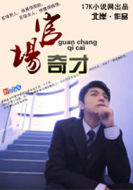 官场奇才小说封面