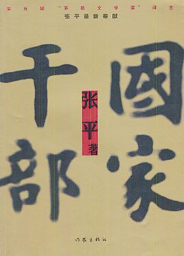 国家干部小说封面