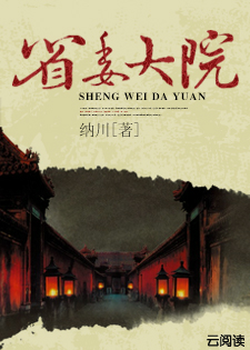 省委大院小说封面