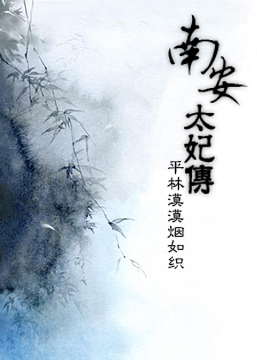 南安太妃传小说封面