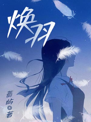 焕羽小说封面