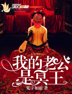 我的老公是冥王小说封面