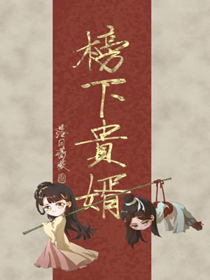 榜上佳婿（榜下贵婿）