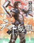 天下无赖小说封面