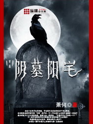 阴墓阳宅小说封面