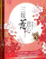 三嫁惹君心小说封面