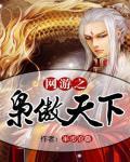 网游之枭傲天下小说封面