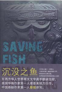 沉没之鱼小说封面