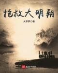 抢救大明朝小说封面