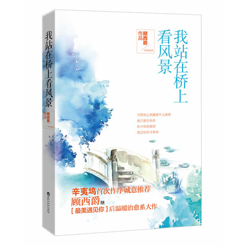我站在桥上看风景