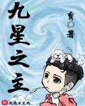 九星之主小说封面