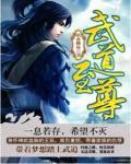武道至尊小说封面