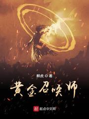 黄金召唤师小说封面