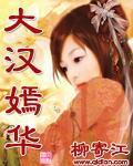 大汉嫣华小说封面