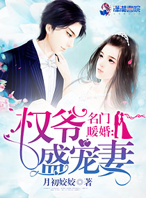 名门暖婚之权爷追妻攻略小说封面