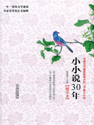 小小说30年小说封面