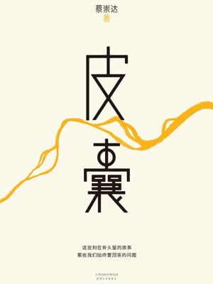 皮囊小说封面