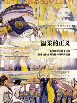 温柔的正义小说封面