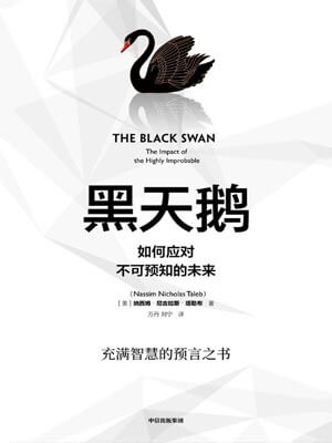 黑天鹅小说封面