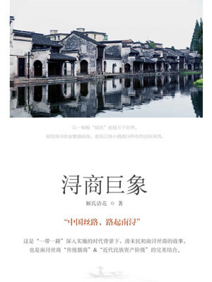 浔商巨象小说封面